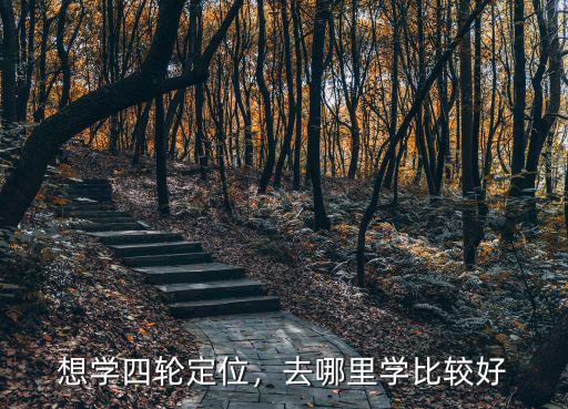四川四輪定位哪里最好,想學(xué)四輪定位