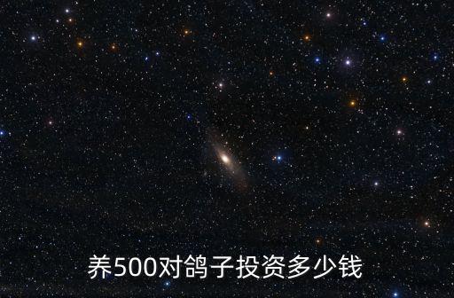 養500對鴿子投資多少錢