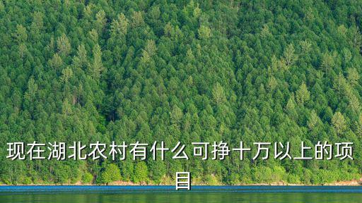 湖北大秀項(xiàng)目怎么樣,湖北四線城市有什么項(xiàng)目
