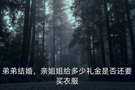 阜陽(yáng)地區(qū)弟弟結(jié)婚姐姐給多少,親弟弟結(jié)婚姐姐應(yīng)該給多少錢(qián)