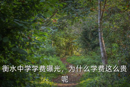 衡水中學學費曝光，為什么學費這么貴呢