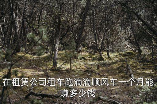 在租賃公司租車跑滴滴順風車一個月能賺多少錢