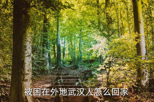 被困在外地武漢人怎么回家