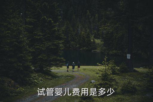 試管嬰兒費用是多少