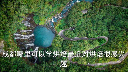 成都哪里可以學烘焙最近對烘焙很感興趣