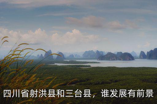 四川省射洪縣和三臺縣，誰發(fā)展有前景