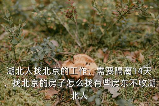 湖北人找北京的工作，需要隔離14天，找北京的房子怎么找有些房東不收湖北人