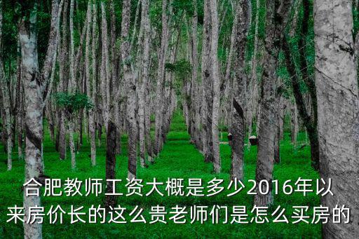合肥教師工資大概是多少2016年以來房價長的這么貴老師們是怎么買房的