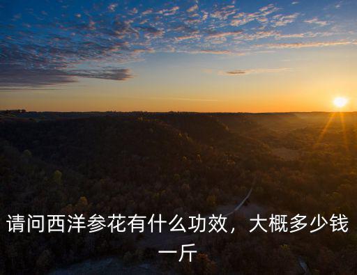 請問西洋參花有什么功效，大概多少錢一斤