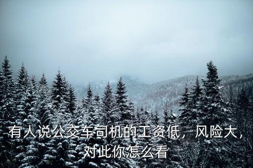 有人說公交車司機的工資低，風險大，對此你怎么看