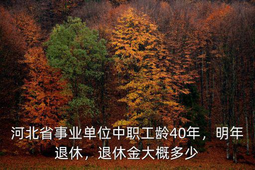 河北省事業單位退休金是多少,河北省機關事業單位中人