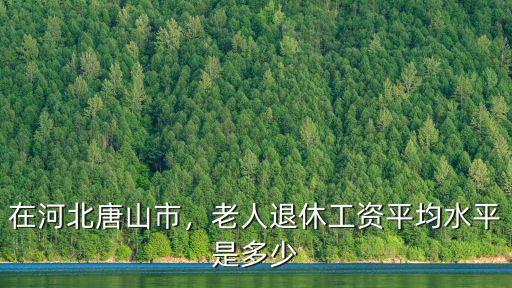 在河北唐山市，老人退休工資平均水平是多少