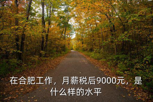 合肥碧桂園8000工資稅后多少,合肥稅后月入2萬什么水平