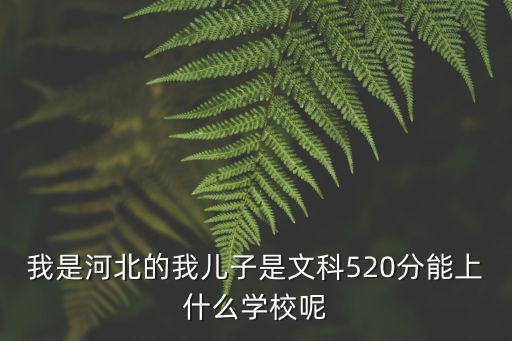 河北學生多少分能上外省大學,能上外省的什么大學