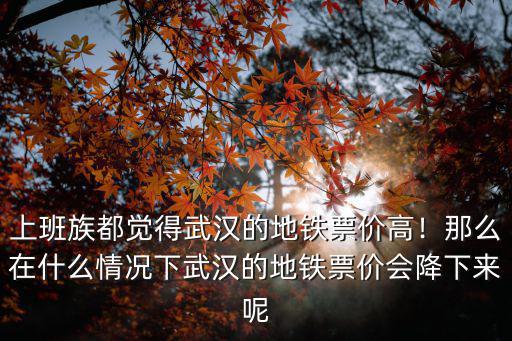 武漢地鐵票價怎么又漲了,武漢地鐵票價上漲50%以上
