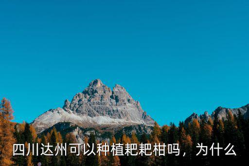 廣安市耙耙柑種植基地在哪里,丑柑耙耙柑主要產(chǎn)區(qū)在哪里