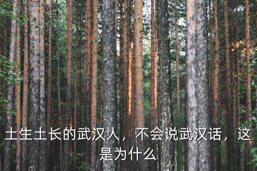 土生土長(zhǎng)的武漢人，不會(huì)說(shuō)武漢話，這是為什么