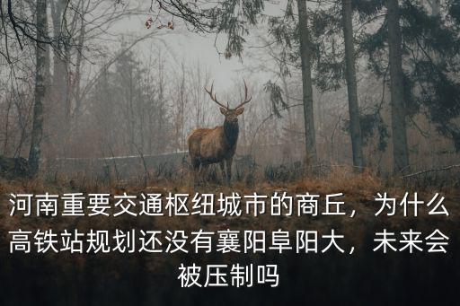 襄陽西高鐵站怎么規劃,襄陽有高鐵站了