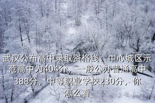武漢公布高中錄取資格線：中心城區示范高中為404分，一般公辦普通高中388分，中等職業學校230分，你怎么看