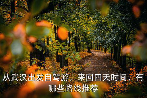 從武漢出發自駕游，來回四天時間，有哪些路線推薦