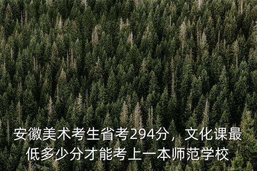安徽美術考生省考294分，文化課最低多少分才能考上一本師范學校