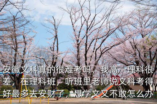 安徽文科考多少分,安徽文科真的很難考嗎