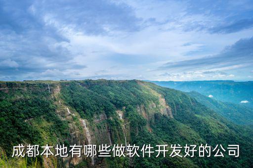 成都本地有哪些做軟件開發好的公司