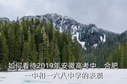 合肥市一六八中學(xué)2019招生多少人,合肥一中和一六八中學(xué)的表現(xiàn)
