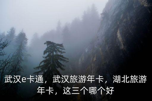武漢親子年卡怎么辦不了,武漢旅游年卡