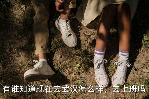 武漢特斯拉上班怎么樣,在武漢打工生活怎么樣
