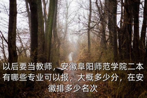 以后要當(dāng)教師，安徽阜陽師范學(xué)院二本有哪些專業(yè)可以報，大概多少分，在安徽排多少名次