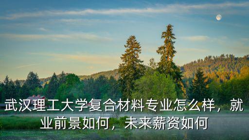 武漢理工大學(xué)廖紅怎么樣,武漢理工大學(xué)口碑怎么樣