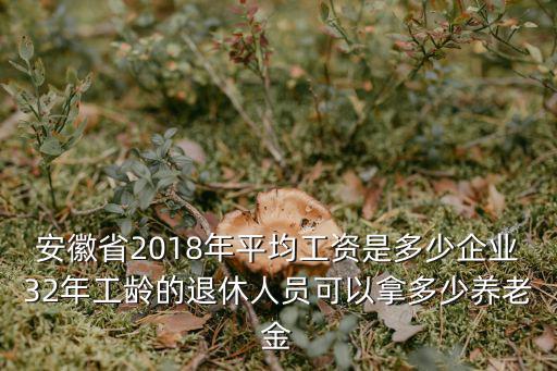 安徽省去年平均工資是多少,工齡37年半能拿多少