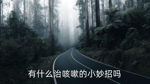 成都哪里有專治咳嗽的,成都哪里有最地道的夫妻肺片