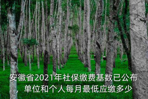 黃山市社保公司最低繳納多少,公司以最低標準為社保