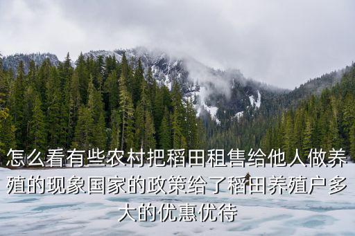 怎么看有些農村把稻田租售給他人做養殖的現象國家的政策給了稻田養殖戶多大的優惠優待