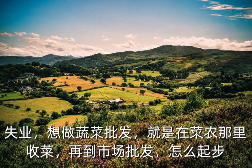 資陽批發水果蔬菜在哪里,在縣城里做蔬菜批發掙錢嗎