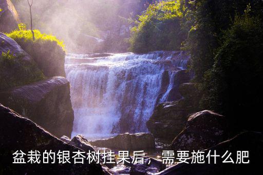 盆栽的銀杏樹掛果后，需要施什么肥