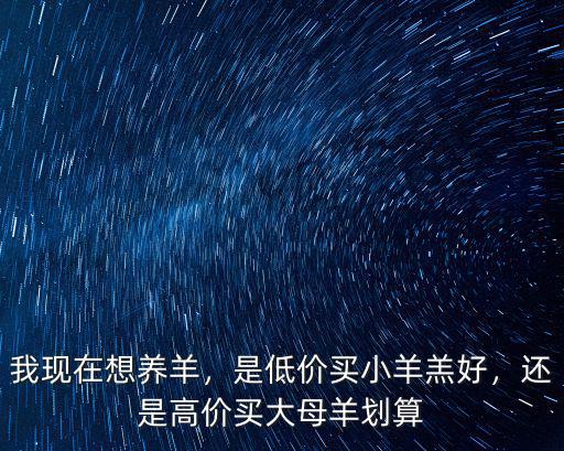 我現(xiàn)在想養(yǎng)羊，是低價買小羊羔好，還是高價買大母羊劃算