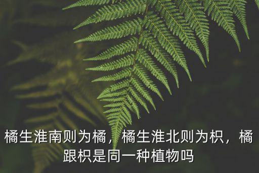 橘生淮南有多少章,橘生淮北則為枳