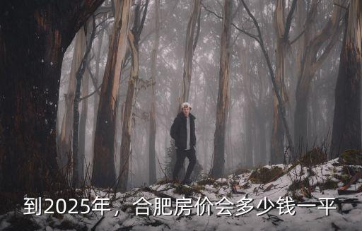 合肥二十年后房價多少,五年后合肥房價會漲多少