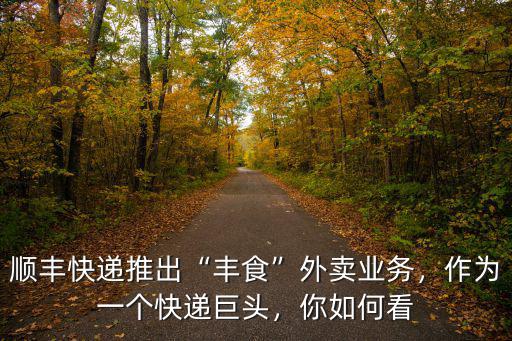 順豐快遞推出“豐食”外賣業務，作為一個快遞巨頭，你如何看