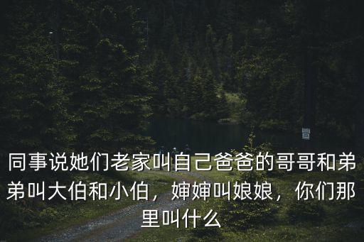 武漢人叫爸爸的哥哥怎么叫,北方爸爸的大哥叫大爺
