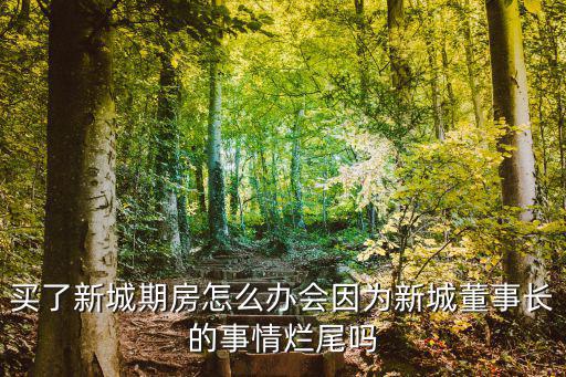 孝感新城控股怎么樣,新城控股的房子如何
