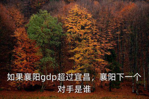 宜昌怎么超過襄陽,如果襄陽gdp超過宜昌