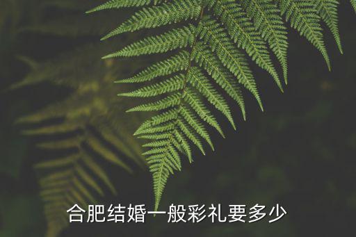 安徽蕪湖繁昌結(jié)婚彩禮多少,合肥結(jié)婚一般彩禮要多少