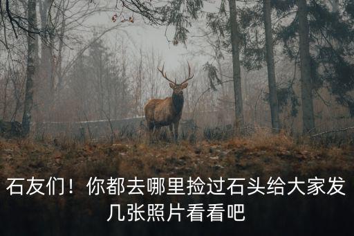 成都哪里有撿石頭的地方,去什么地方撿石頭好