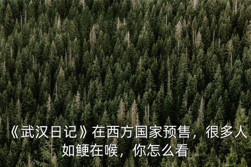 外國人怎么畫武漢,外國網友是怎么評論武漢的