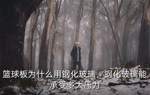 池州鋼化玻璃籃板多少錢,籃球板為什么用鋼化玻璃