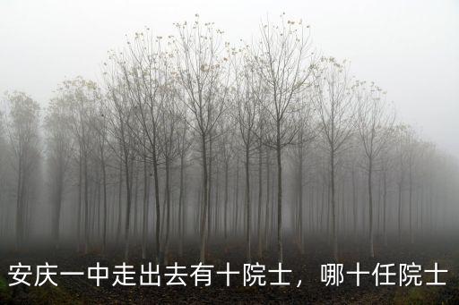 安慶一中走出去有十院士，哪十任院士